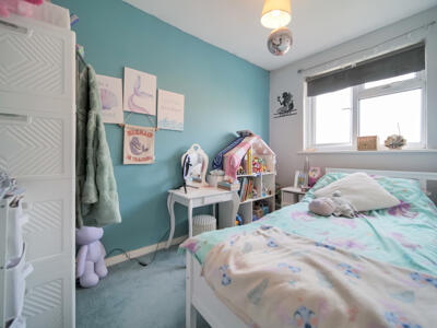 Picture 12